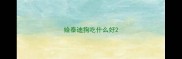 给泰迪狗吃什么好