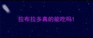 拉布拉多真的能吃吗