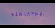 哈士奇洗完澡掉毛