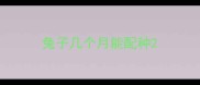 兔子几个月能配种