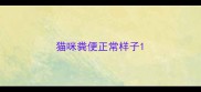 猫咪粪便正常样子