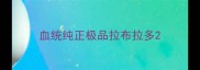 血统纯正极品拉布拉多