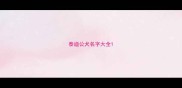 泰迪公犬名字大全