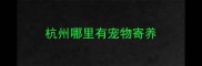 杭州哪里有宠物寄养