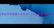 拉布拉多幼犬体型偏小怎么办5大科学原因及饲养指南
