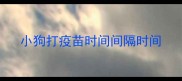 小狗打疫苗时间间隔时间