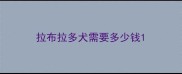 拉布拉多犬需要多少钱