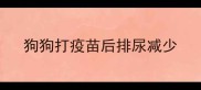 狗狗打疫苗后排尿减少