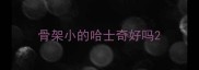 骨架小的哈士奇好吗