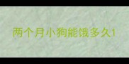 两个月小狗能饿多久