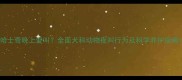 哈士奇晚上爱叫全面犬科动物夜叫行为及科学养护指南