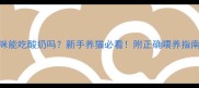猫咪能吃酸奶吗新手养猫必看附正确喂养指南