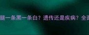 边境牧羊犬腿一条黑一条白遗传还是疾病全面养护指南