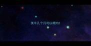 英牛几个月可以喂肉