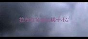 拉布拉多来红桃子小
