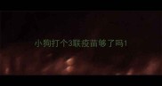 小狗打个3联疫苗够了吗