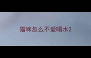 猫咪怎么不爱喝水