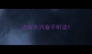 边牧太兴奋不听话