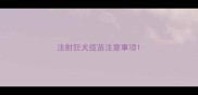 注射狂犬疫苗注意事项