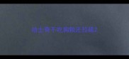 哈士奇不吃狗粮还拉稀