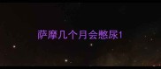 萨摩几个月会憋尿