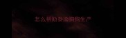 怎么帮助泰迪狗狗生产