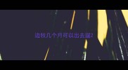 边牧几个月可以出去遛