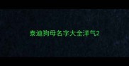 泰迪狗母名字大全洋气
