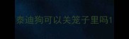泰迪狗可以关笼子里吗