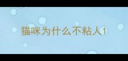 猫咪为什么不粘人