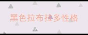 黑色拉布拉多性格