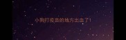 小狗打疫苗的地方出血了