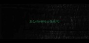 怎么样分辨哈士奇好坏