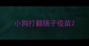 小狗打翻肠子疫苗