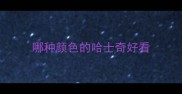 哪种颜色的哈士奇好看