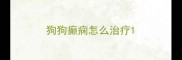 狗狗癫痫怎么治疗