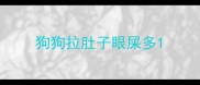 狗狗拉肚子眼屎多