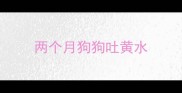 两个月狗狗吐黄水