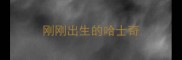 刚刚出生的哈士奇