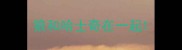 狼和哈士奇在一起