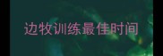 边牧训练最佳时间