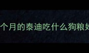 两个月的泰迪吃什么狗粮好