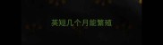 英短几个月能繁殖