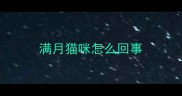 满月猫咪怎么回事