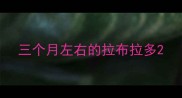 三个月左右的拉布拉多