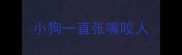 小狗一直张嘴咬人