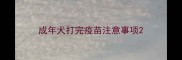 成年犬打完疫苗注意事项