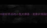 新手必看10款好养活的小型犬推荐低维护高陪伴养狗零压力