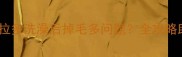 如何科学护理拉布拉多洗澡后掉毛多问题全攻略助您解决换毛困扰