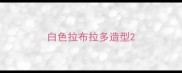 白色拉布拉多造型